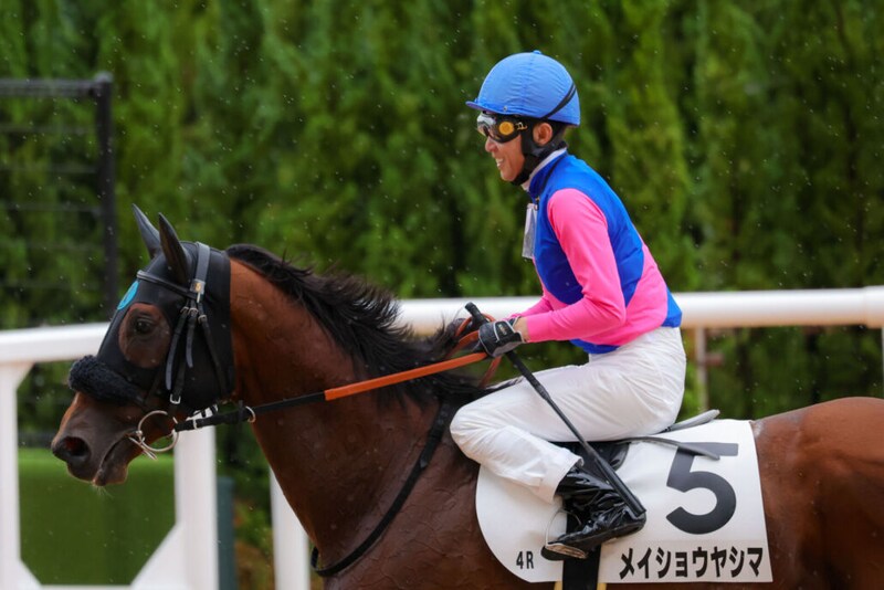 【京都4R】武豊メイショウヤシマが断然の支持に応える