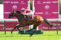 【仏カドラン賞】英カバーヨデマール、伝統のマラソンレースを制する…スコット調教師はG1初勝利