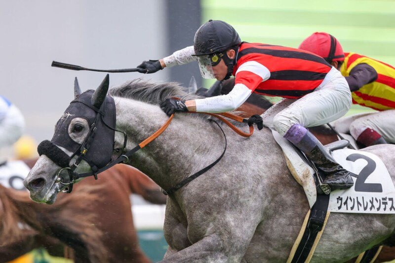 【京都8R】7番人気の伏兵、武豊ウイントレメンデスの鮮やかな差し切りが決まる