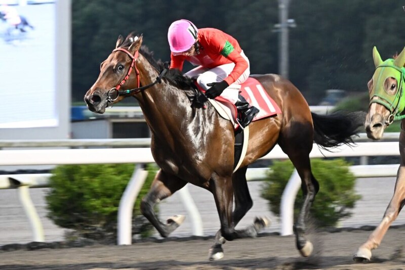 【高知・潮菊特別】2着続きに終止符！クスダマがデビュー5戦目の初白星