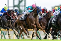 【tvk賞】1000万馬券飛び出す！大波乱の決着、単勝16番人気ジュドーがV