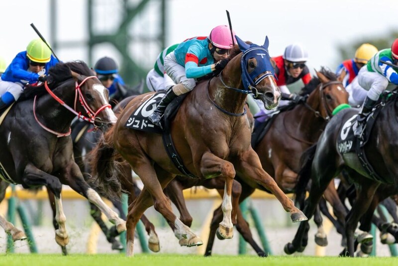 【tvk賞】1000万馬券飛び出す！大波乱の決着、単勝16番人気ジュドーがV