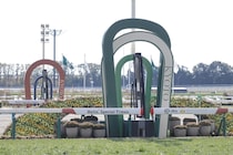 【京都大賞典】7歳馬ディープモンスターが混戦を断つ