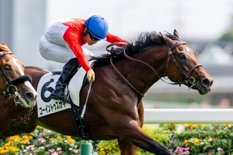 【新馬/東京5R】コントレイル産駒 ゴーイントゥスカイがデビューV