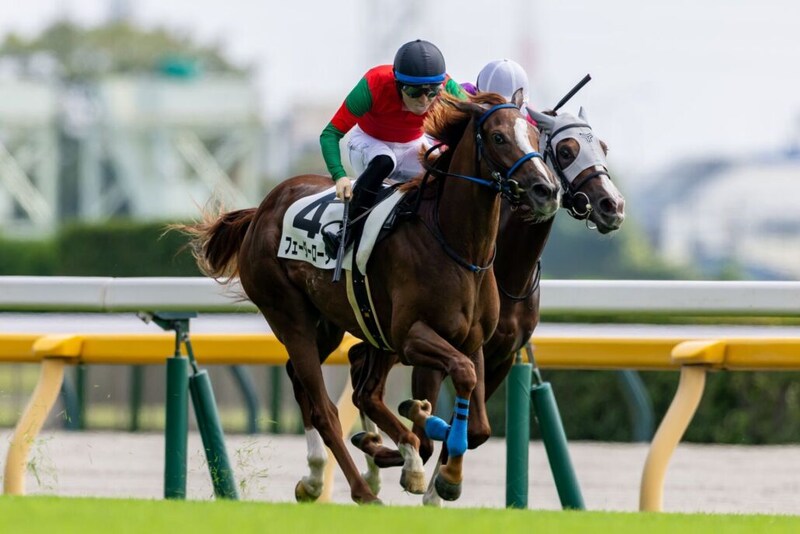 【東京3R】単勝16番人気フェーダーローターが波乱を演出