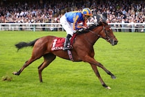 【仏マルセルブーサック賞】ダイヤモンドネックレスが2歳のチャンピオンに…エイダン・オブライエン管理馬