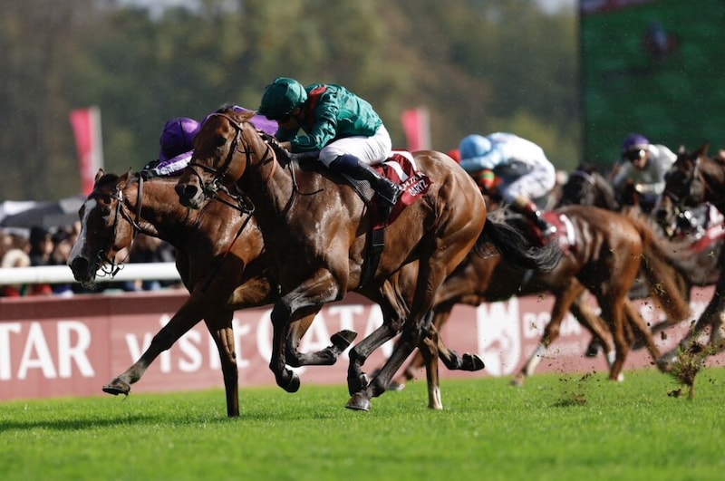 【凱旋門賞】日本勢最先着はビザンチンドリーム、今年も悲願ならず…勝利したのはフランスの伏兵ダリズ