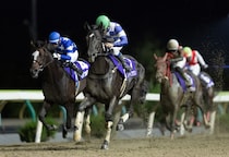 【水沢・ヴィーナススプリント】7歳牝馬レディブラウン重賞初制覇！断然人気ミニアチュールは3着