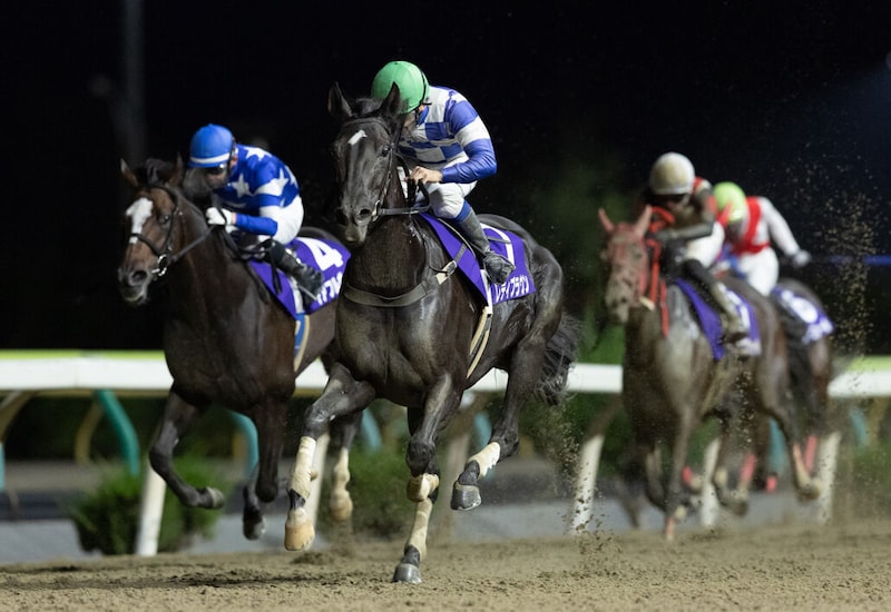 【水沢・ヴィーナススプリント】7歳牝馬レディブラウン重賞初制覇！断然人気ミニアチュールは3着