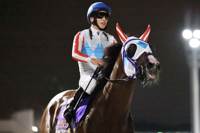 【JDC】三冠がかかるナチュラルライズは8枠15番へ