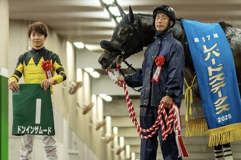 【ジャパンダートクラシック】経験豊富なドンインザムード…王者へ挑む別路線組の逆襲