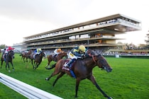 【仏フォレ賞】マラノアチャーリー圧巻逃走劇…ルメートル＆ヘッド師がフォレ賞連覇