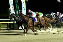 【東京盃】ヤマニンチェルキは6枠12番へ