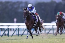 【スワンS登録馬】アドマイヤズームなど21頭