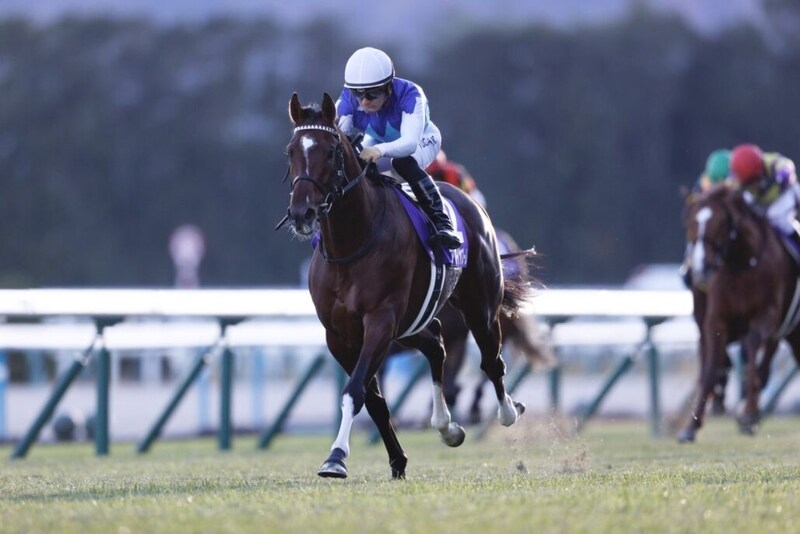 【スワンS登録馬】アドマイヤズームなど21頭