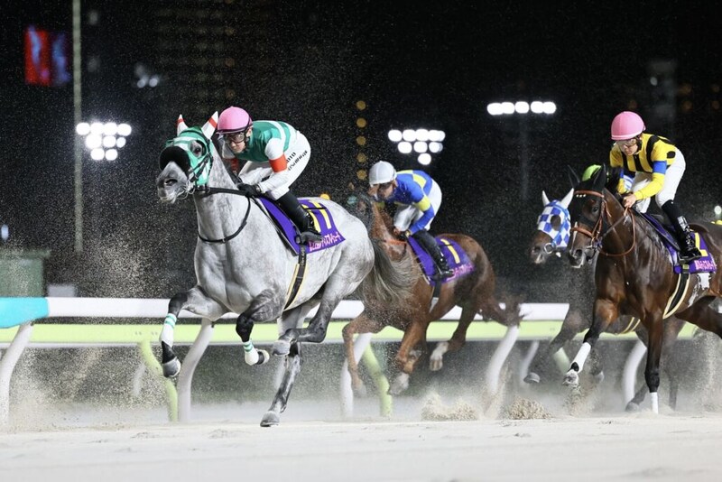 【レディスプレリュード】吉原「あそこまで行ったら勝ちたかった」フェブランシェは直線遅れをとり4着