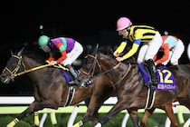 【レディスプレリュード】テンカジョウまさかの大出遅れも意地の2着…松山「ゲートに少し難があって…」