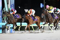 【レディスプレリュード】橋口師「JBCに行くことになるかと思う」初ダート・ビヨンドザヴァレーが交流重賞初制覇