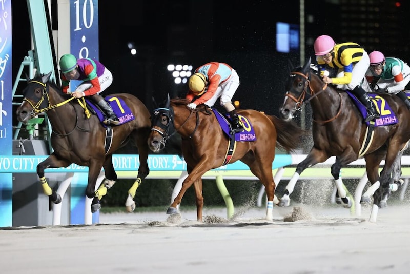 【レディスプレリュード】橋口師「JBCに行くことになるかと思う」初ダート・ビヨンドザヴァレーが交流重賞初制覇