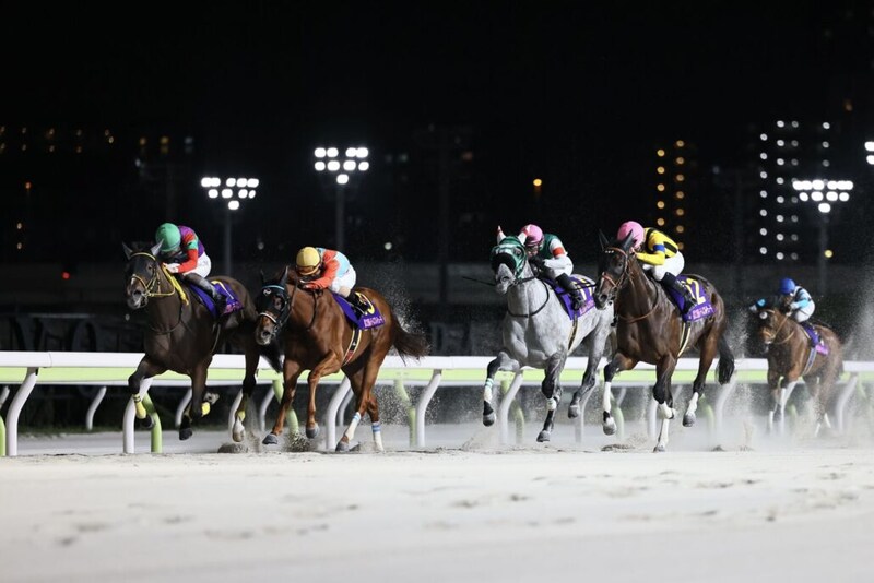 【レディスプレリュード】売得金10億超えで前年比116.6％…ビヨンドザヴァレーがV