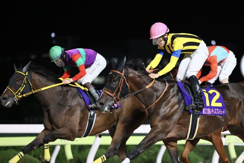 【レディスプレリュード】菱田「勝ちたいという思いが叶った」レース後ジョッキーコメント