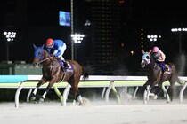 【ジャパンダートクラシック】ナルカミが逃げ切る…ナチュラルライズ三冠ならず