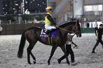 【ジャパンダートクラシック】佐々木大「右から左へ手前を替えるのが得意ではないです」帰国初戦のルクソールカフェは3着まで