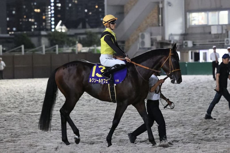 【ジャパンダートクラシック】佐々木大「右から左へ手前を替えるのが得意ではないです」帰国初戦のルクソールカフェは3着まで