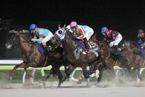 【ジャパンダートクラシック】横山武「馬は本当によく頑張ってくれました」レース後ジョッキーコメント