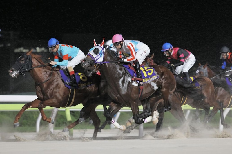 【ジャパンダートクラシック】横山武「馬は本当によく頑張ってくれました」レース後ジョッキーコメント