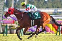 ラヴェルが引退、繁殖入り