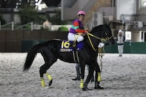 【東京盃】戸崎「最後はいい伸びでした」クロジシジョー重賞4度目の2着