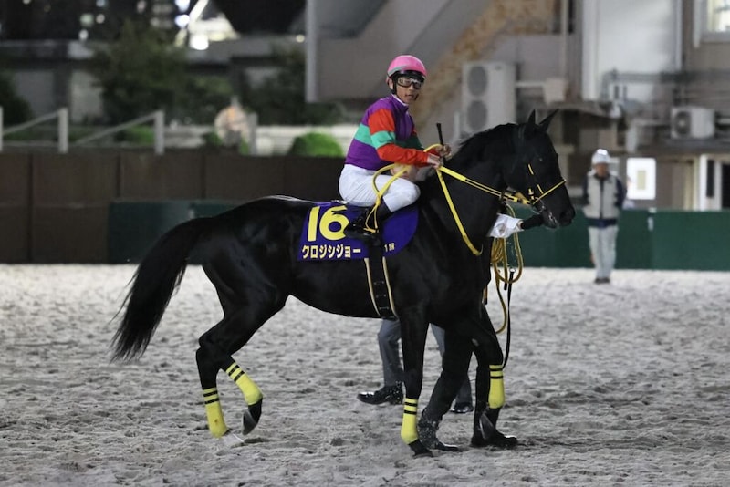 【東京盃】戸崎「最後はいい伸びでした」クロジシジョー重賞4度目の2着