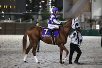 【東京盃】池添謙「一瞬で交わされてしまった」サンライズアムールは3着まで