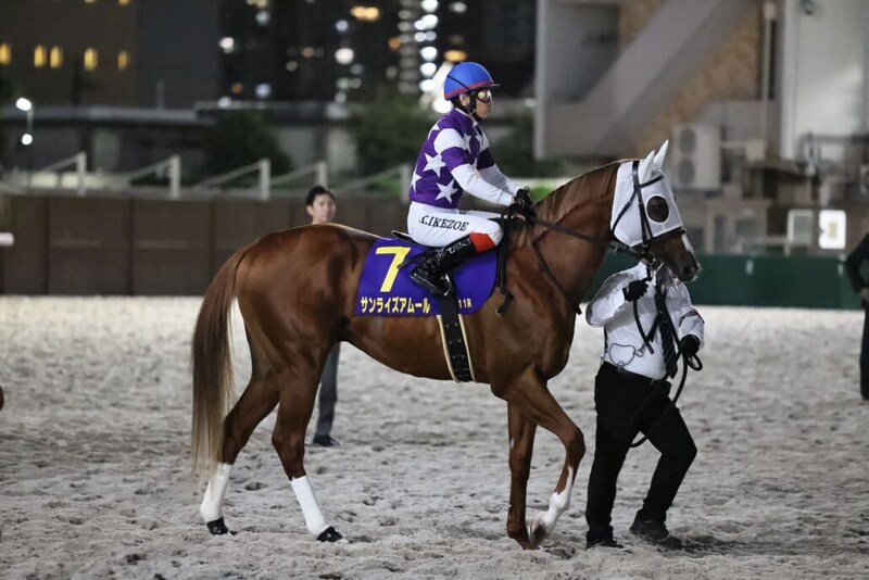 【東京盃】池添謙「一瞬で交わされてしまった」サンライズアムールは3着まで