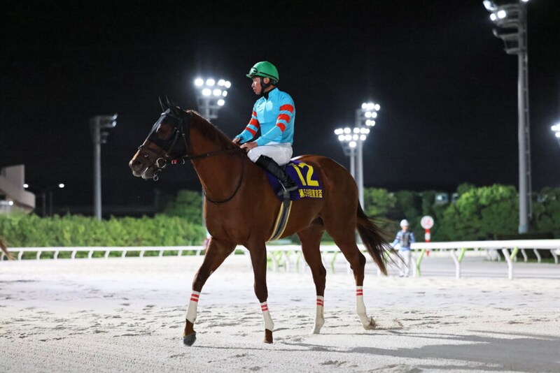 【東京盃】岩田望「まだまだ強くなる」ヤマニンチェルキが交流重賞3連勝