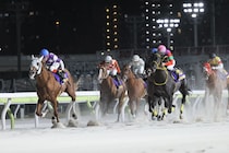 【東京盃】岩田望「次も自信をもって挑める」レース後ジョッキーコメント