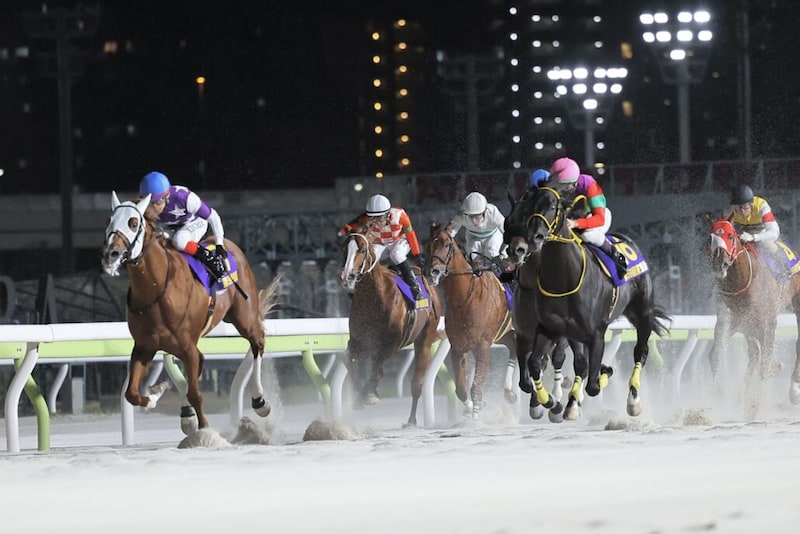 【東京盃】岩田望「次も自信をもって挑める」レース後ジョッキーコメント