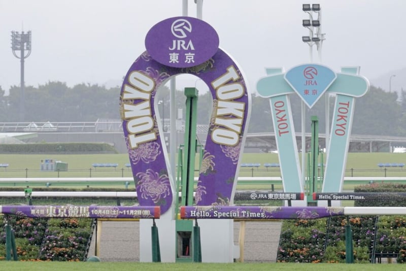 【サウジアラビアRC】エコロアルバがゴボウ抜き!デビュー2連勝で重賞初制覇