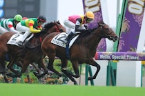 【新馬/東京5R】シスキン産駒 シュペルリングがデビューV