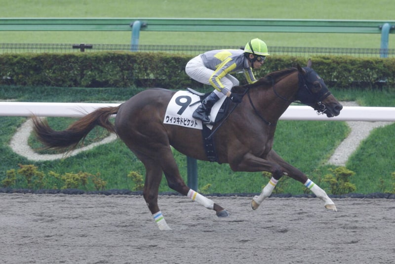 【新馬/東京4R】ウィッキドピケットが6馬身差圧勝