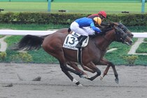 【新馬/東京6R】単勝13番人気セイントエルモズが波乱を演出