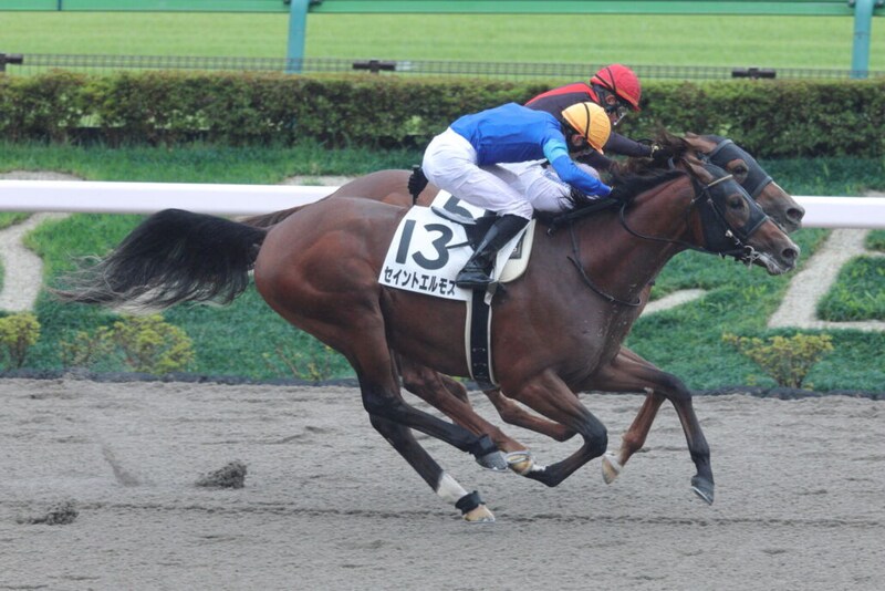 【新馬/東京6R】単勝13番人気セイントエルモズが波乱を演出