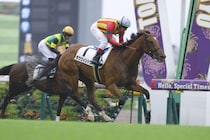 【東京7R】良血ボウウィンドウが連勝…母はフローレスマジック