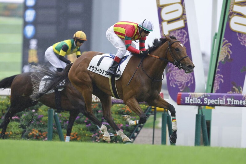 【東京7R】良血ボウウィンドウが連勝…母はフローレスマジック