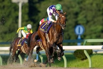 【南部杯】武豊サンライズジパングは大外へ…ダートのオールスターが集結