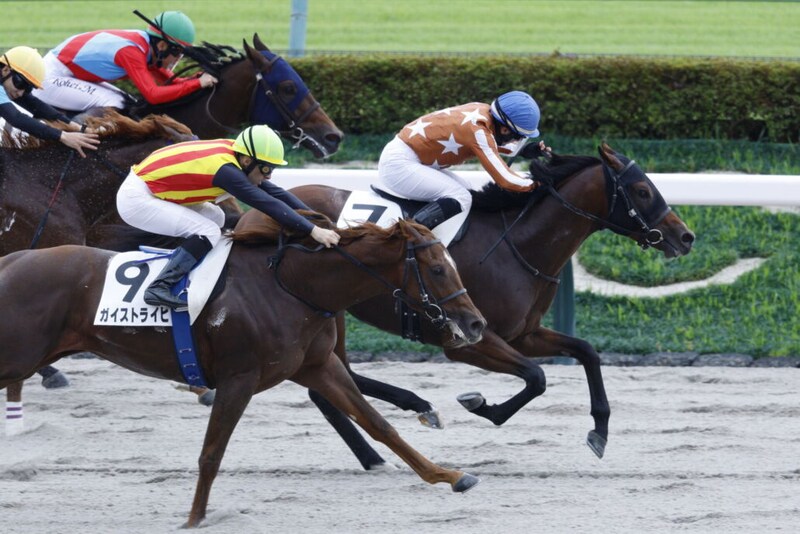 【新馬/東京4R】10番人気の伏兵レイオブファイアが波乱を演出