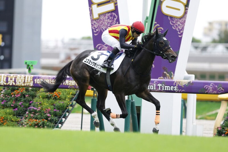 【東京2R】断然人気コズミックボックスが快勝