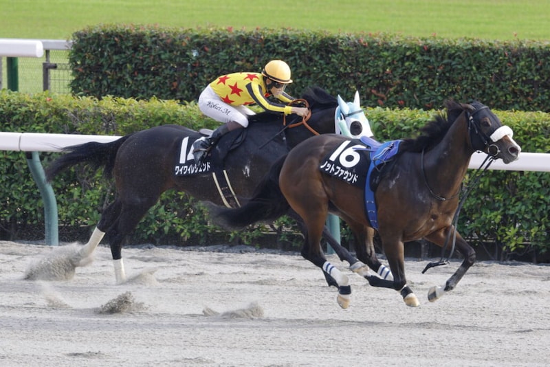 【テレビ静岡賞】ワイワイレジェンドが逃げ切る…ルメール騎乗、ノットファウンドはスタートで落馬