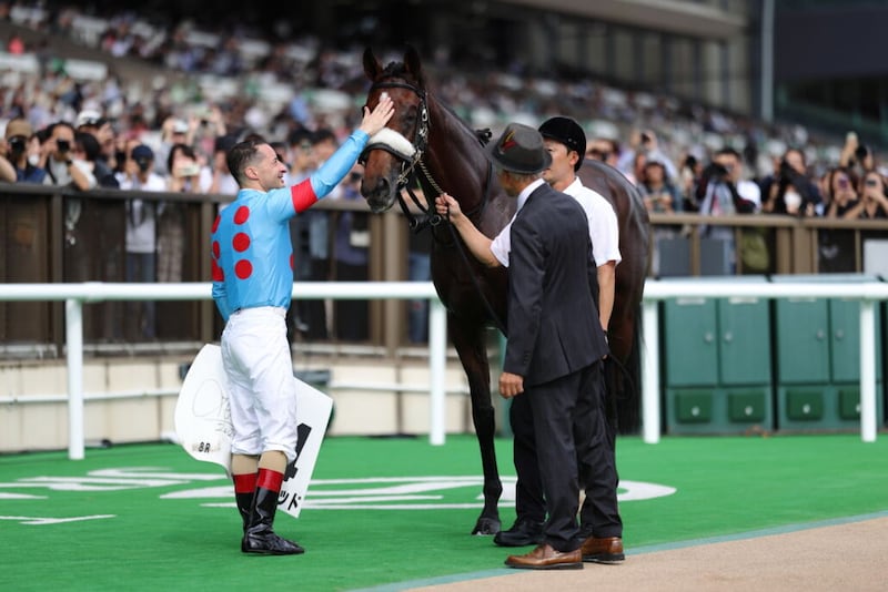 【東京8R】アーモンドアイの仔、アロンズロッドが2勝目をマーク